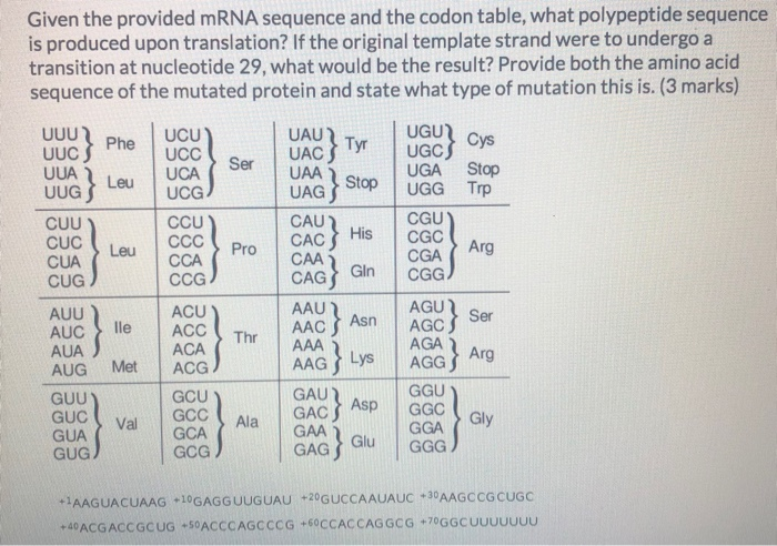 Solved 1. Given the provided mRNA sequence and the codon | Chegg.com