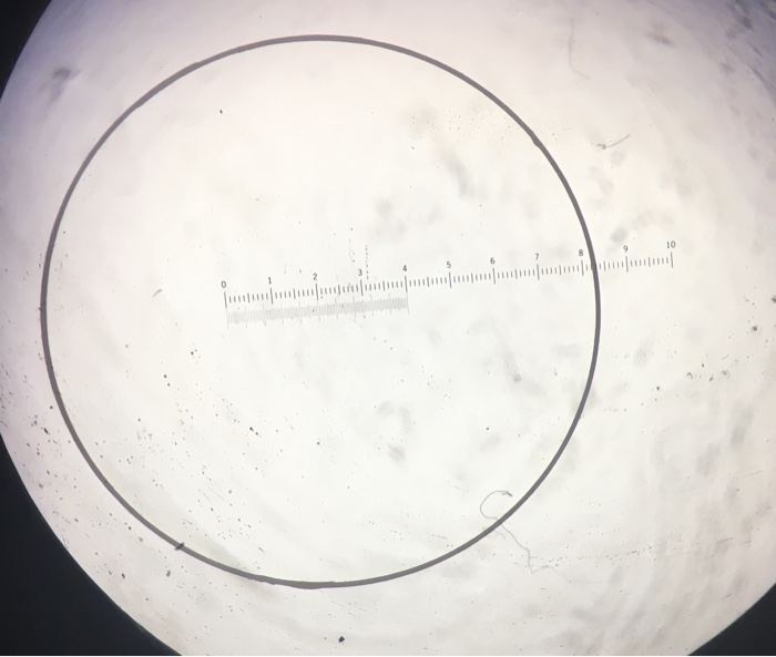 Solved Calibration of ocular micrometer under low