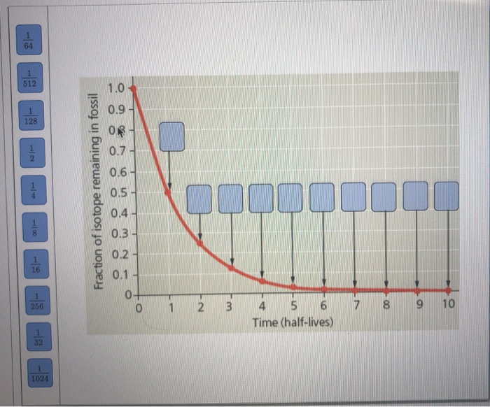 solved-carbon-14-c-is-a-radioactive-otope-of-carbon-that-chegg