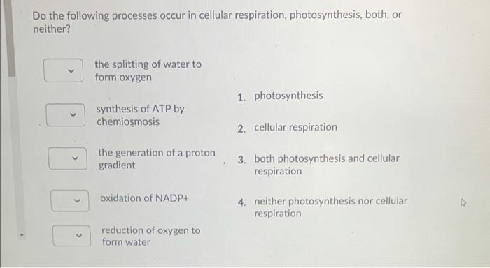 solved-do-the-following-processes-occur-in-cellular-chegg