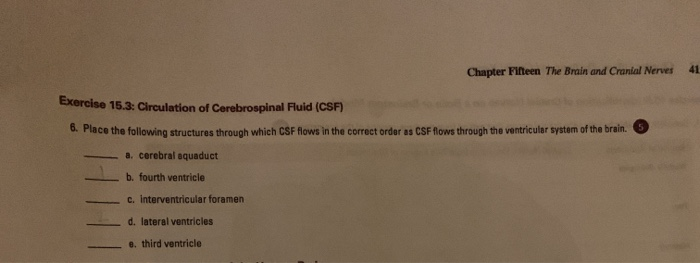 Solved Chapter Fifteen The Brain and Cranial Nerves 41 | Chegg.com