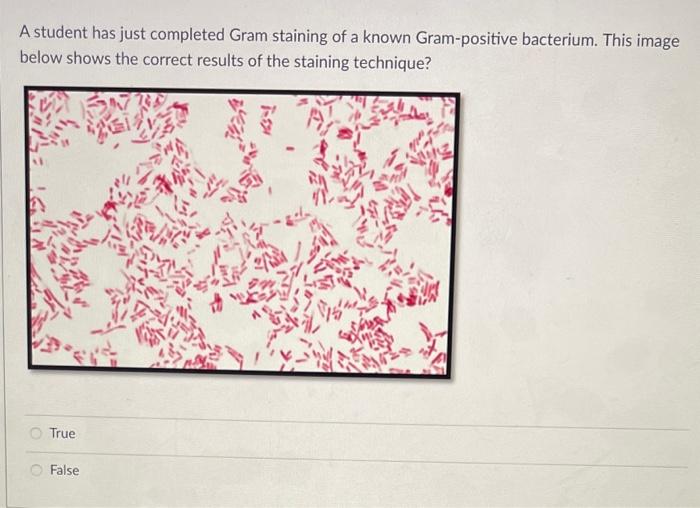 Solved A student has just completed Gram staining of a known | Chegg.com