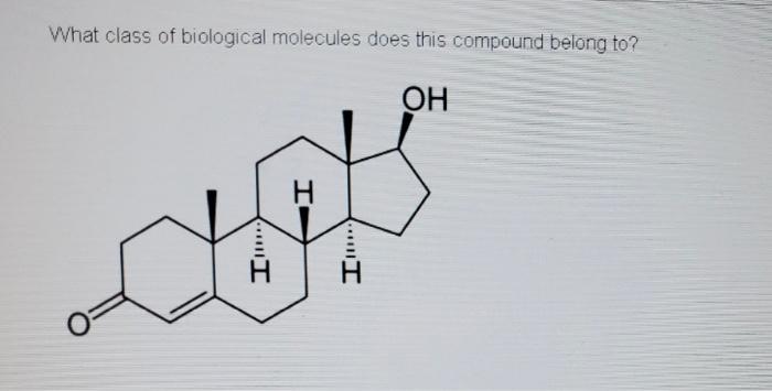Solved What class of biological molecules does this compound | Chegg.com