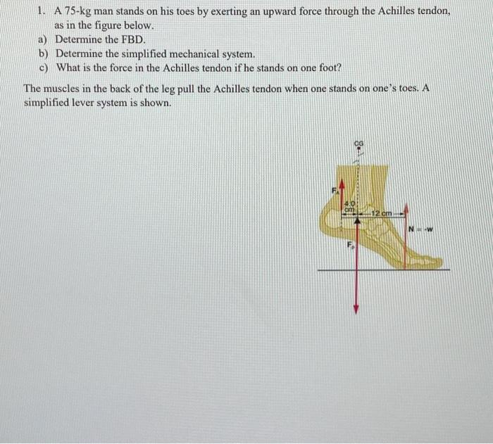 1. A 75-kg man stands on his toes by exerting an upward force through the Achilles tendon, as in the figure below.
a) Determi