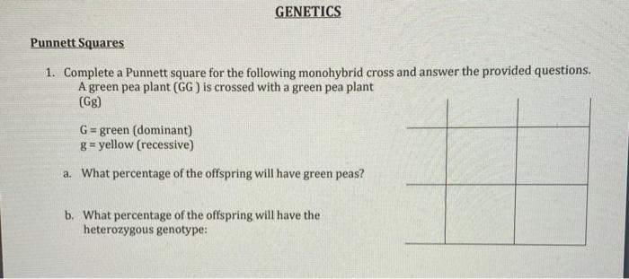 Solved Complete a Punnett square for the following | Chegg.com