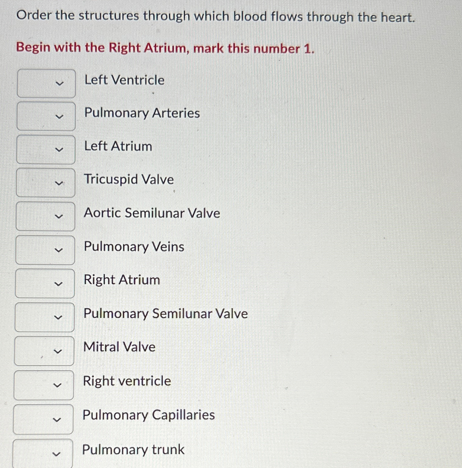 Solved Order the structures through which blood flows | Chegg.com