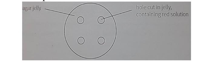 Solved Diffusion and Osmosis Question 1: A student did an | Chegg.com
