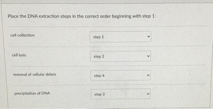 Solved Place the DNA extraction steps in the correct order | Chegg.com
