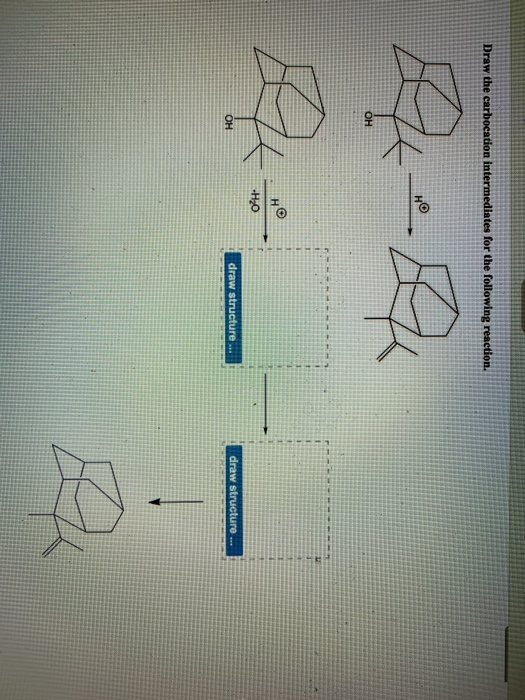 Solved Draw the carbocation intermediates for the following