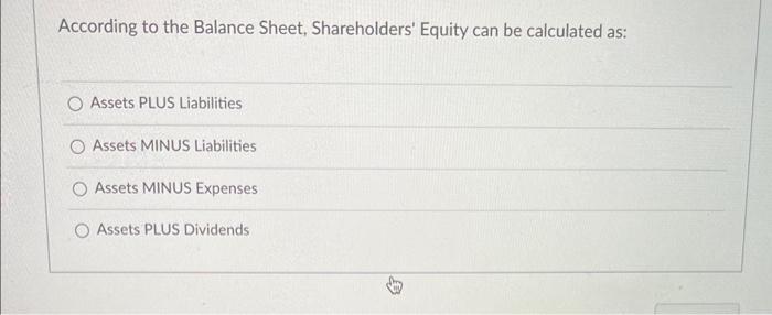 a business's balance sheet shows assets liabilities and shareholders equity