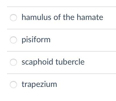 hamulus of the hamate
pisiform
scaphoid tubercle
trapezium