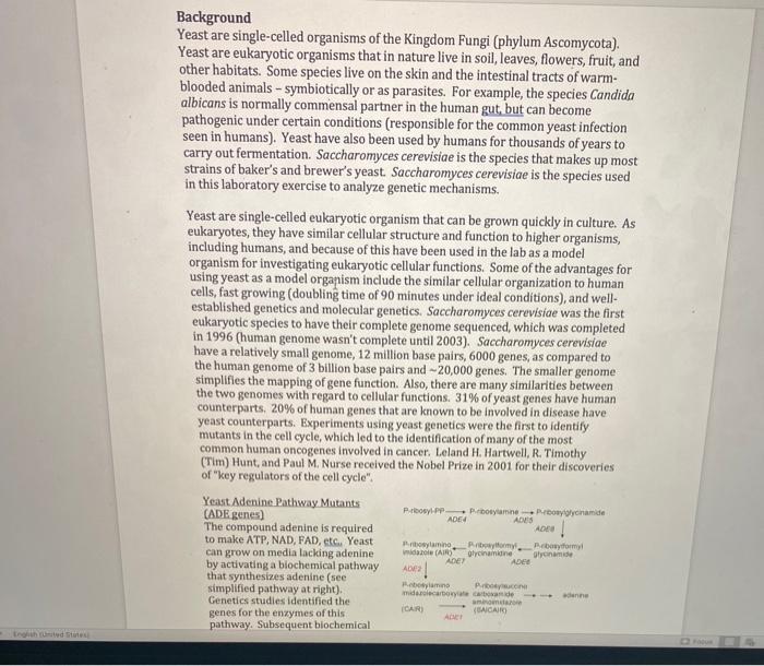 Solved Read all information in the background and I need | Chegg.com