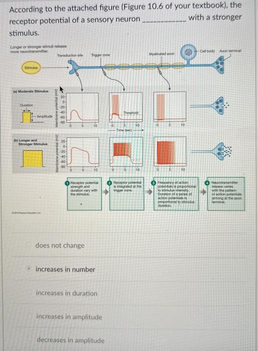 Solved According to the attached figure (Figure 10.6 of your | Chegg.com
