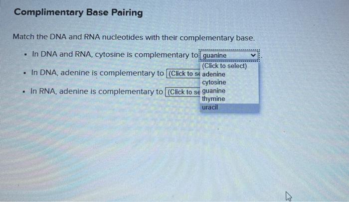Complimentary Base Pairing Match The Dna And Rna Chegg Com