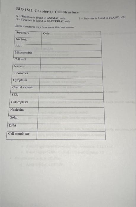Solved BIO 1511 Chapter 4: Cell Structure A - Stmucture is | Chegg.com