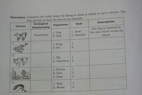 Solved Directions Complete The Table Below By Filling In 0195