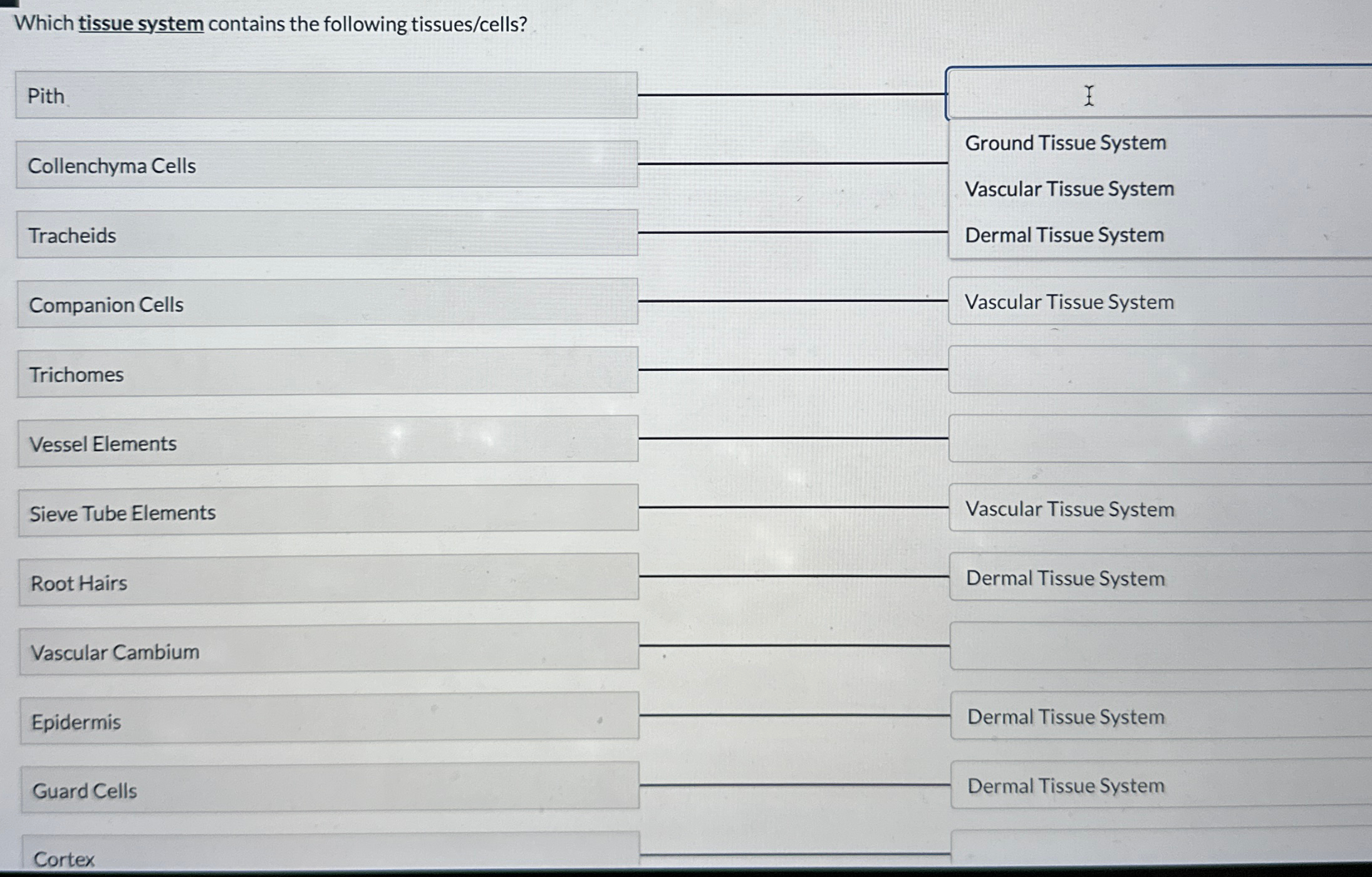 Solved Which tissue system contains the following | Chegg.com
