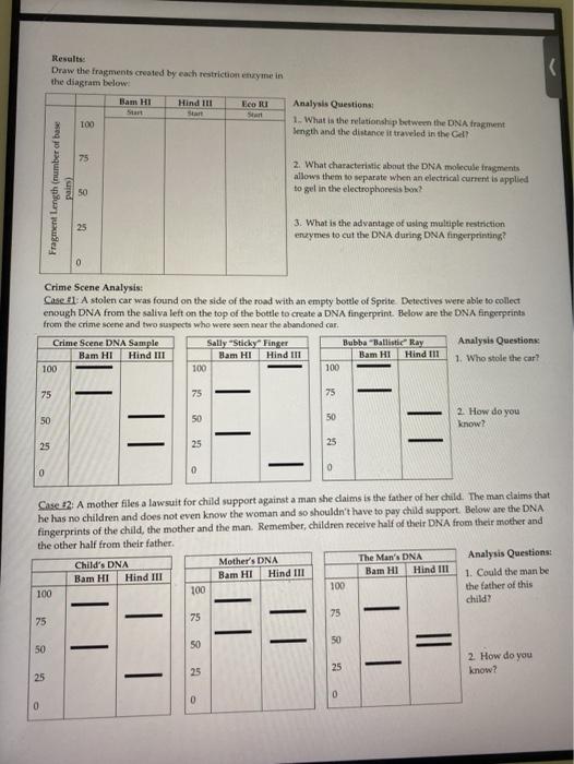 Solved DNA Fingerprinting Activity Introduction DNA
