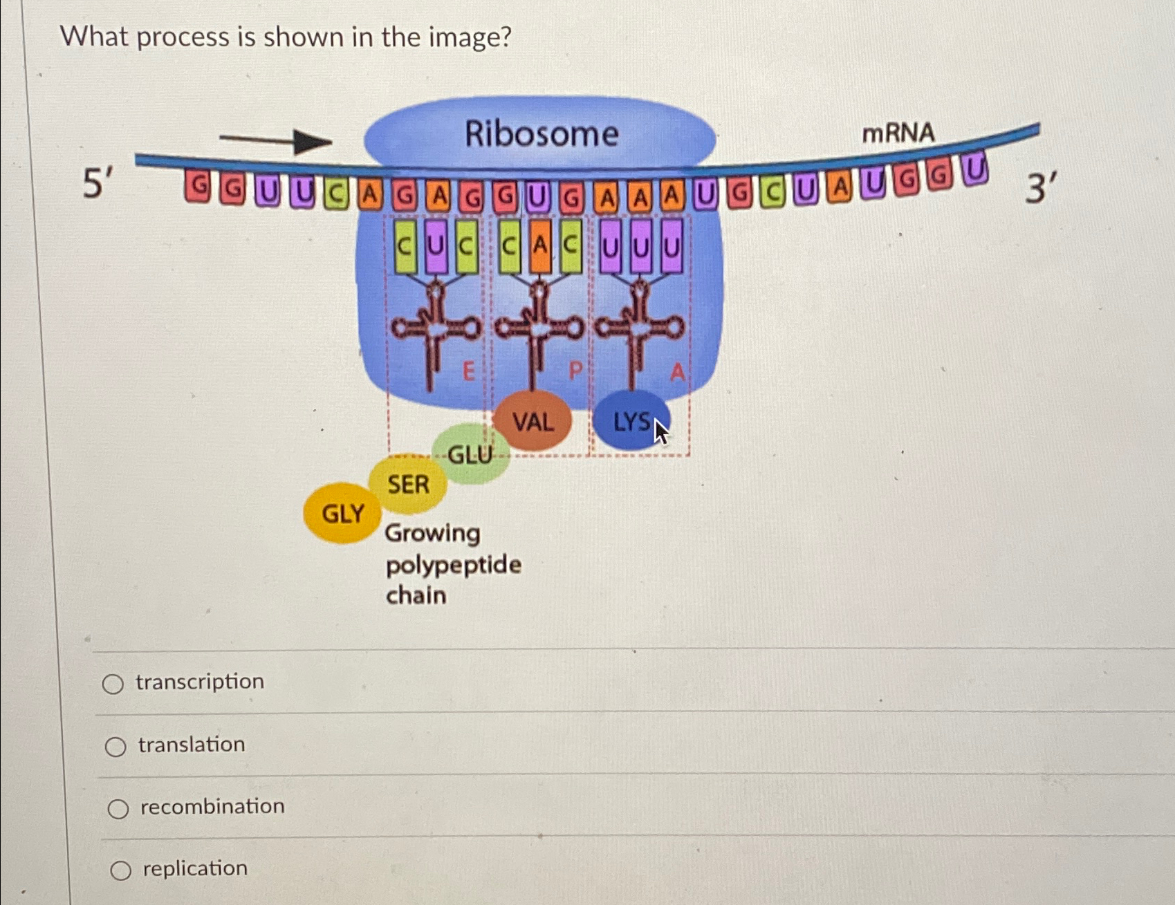 Solved What process is shown in the | Chegg.com