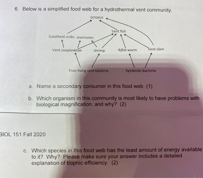 Solved 6. Below is a simplified food web for a hydrothermal | Chegg.com