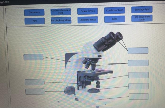Solved deo Coaching Activity: Compound Microscope | Chegg.com