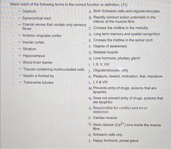 Solved > Match each of the following terms to the correct | Chegg.com