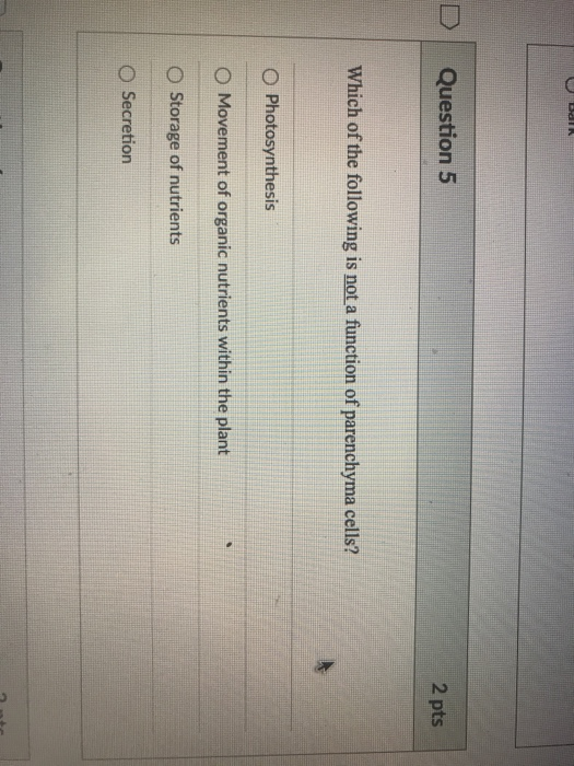 Solved DI Question 5 2 pts Which of the following is not a | Chegg.com