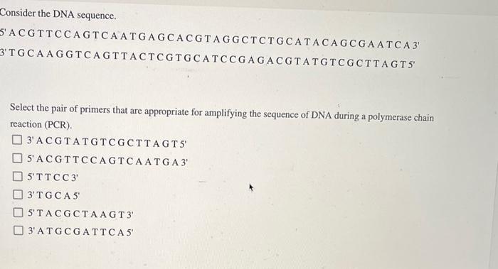 Solved Consider the DNA sequence. 'A CG T T C CA G T C A A T | Chegg.com