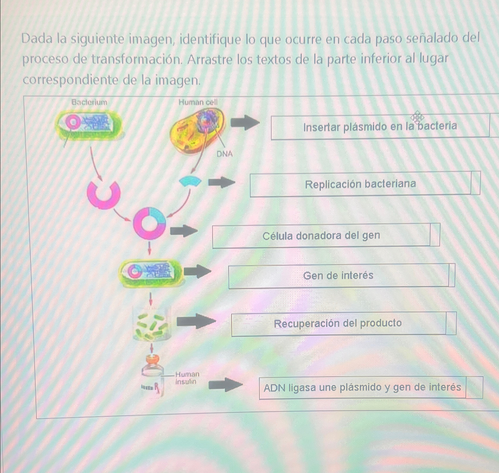 student submitted image, transcription available