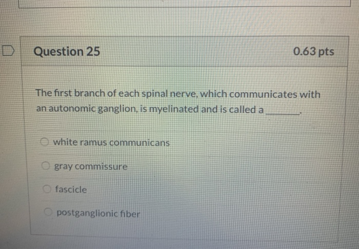 Solved Question 25 0.63 pts The first branch of each spinal | Chegg.com
