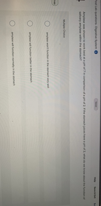 Solved Post Lab questions Digestive System Seved Help Save & | Chegg.com