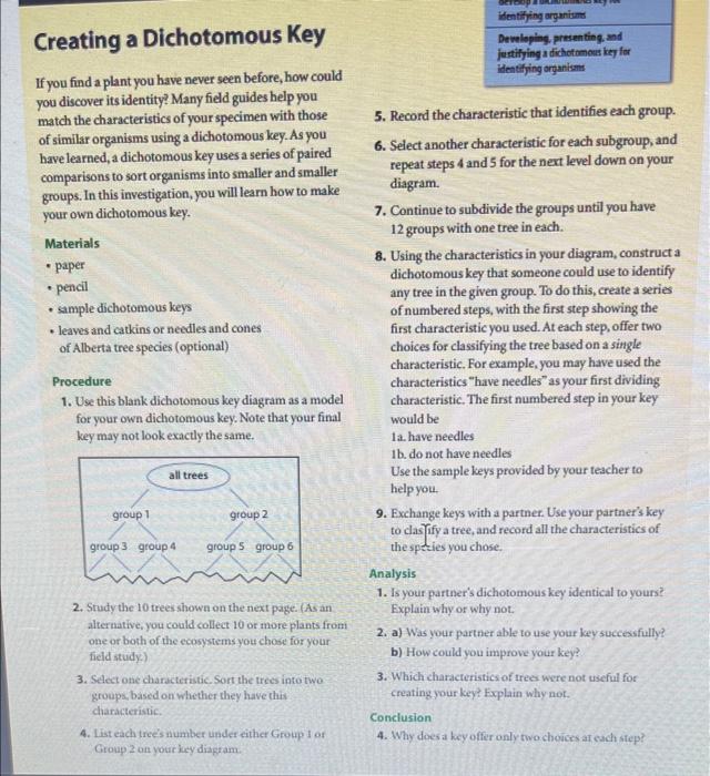 Creating a Dichotomous Key If you find a plant you