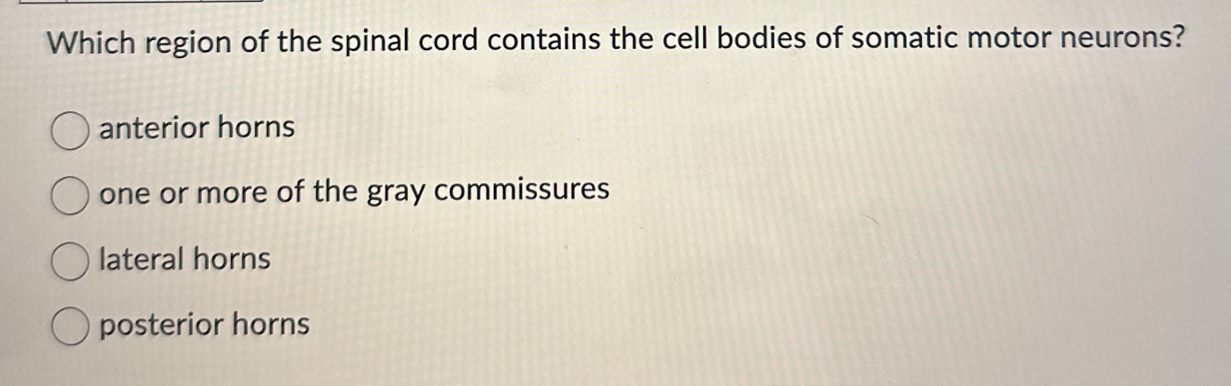 Solved Which region of the spinal cord contains the cell | Chegg.com