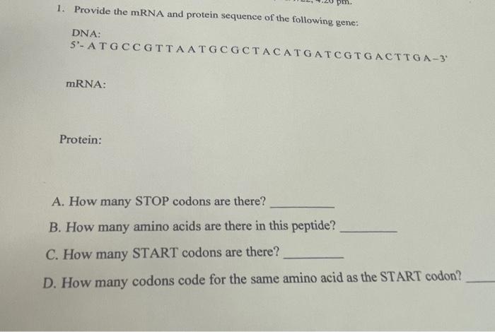 Solved 1. Provide the mRNA and protein sequence of the | Chegg.com