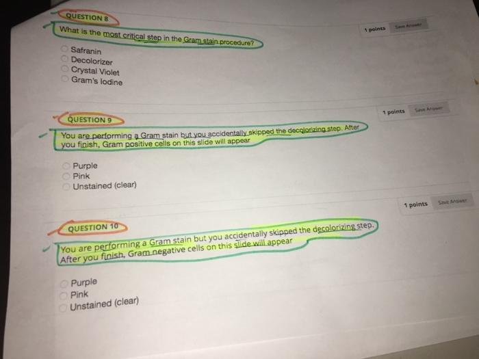 Solved QUESTIONS What is the most critical step in the Gram | Chegg.com