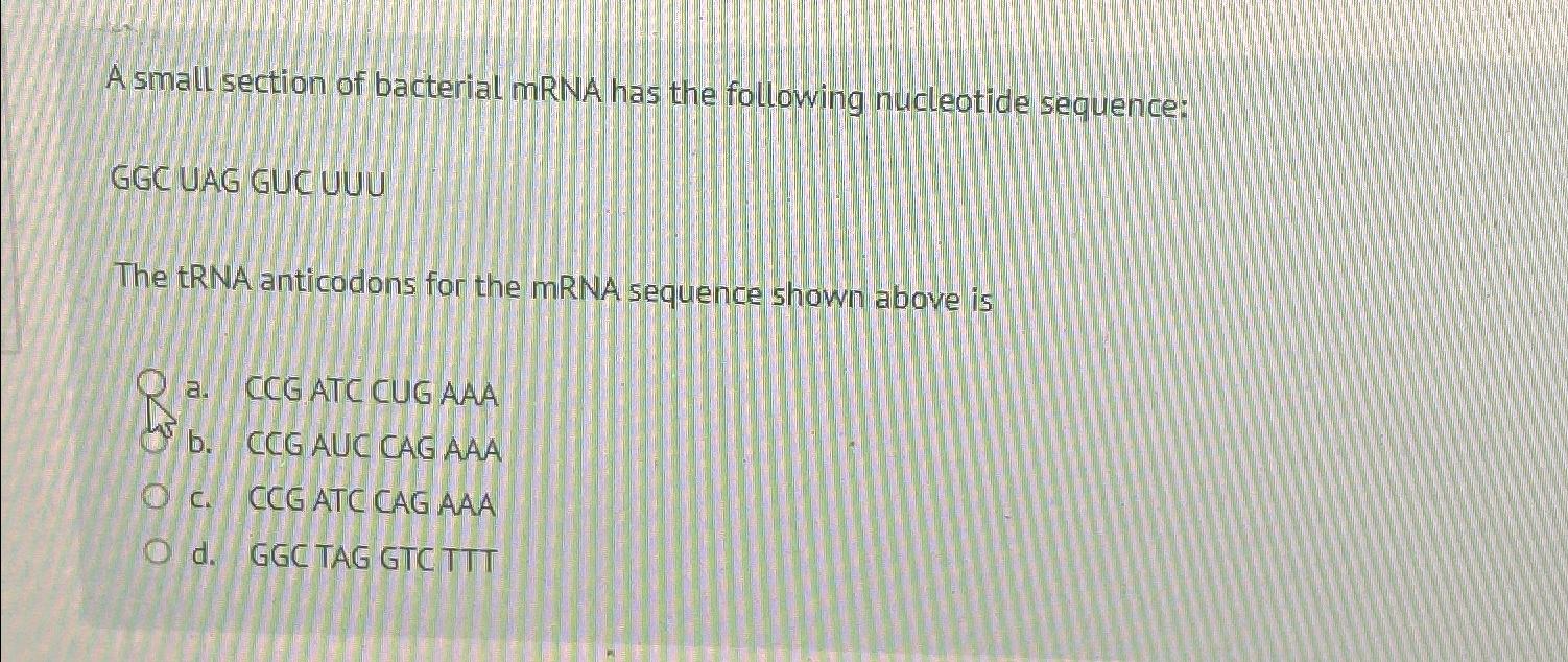 Solved A small section of bacterial mRNA has the following | Chegg.com