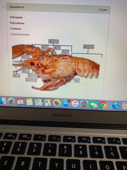 Solved i need the best answer for question 6 and 9 to | Chegg.com