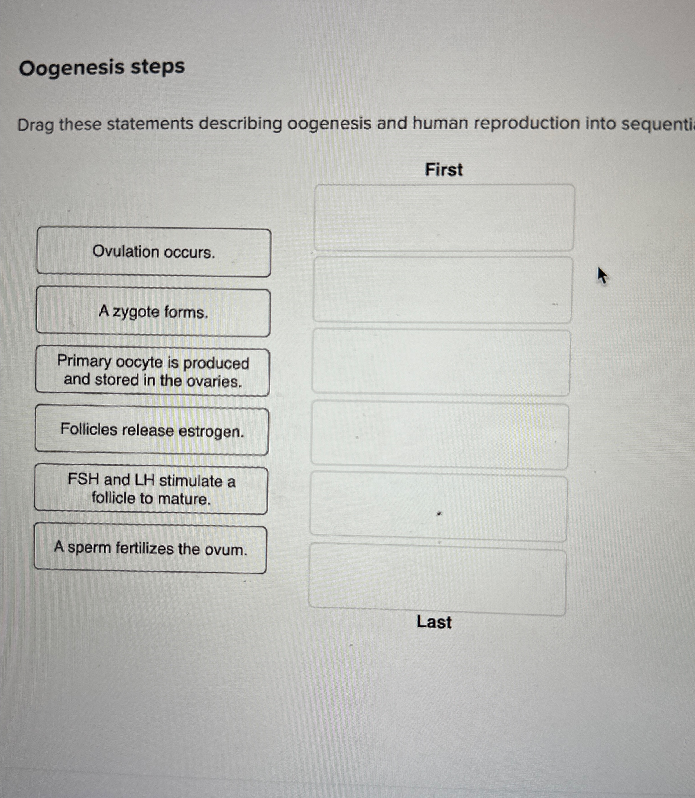 Solved Oogenesis stepsDrag these statements describing | Chegg.com