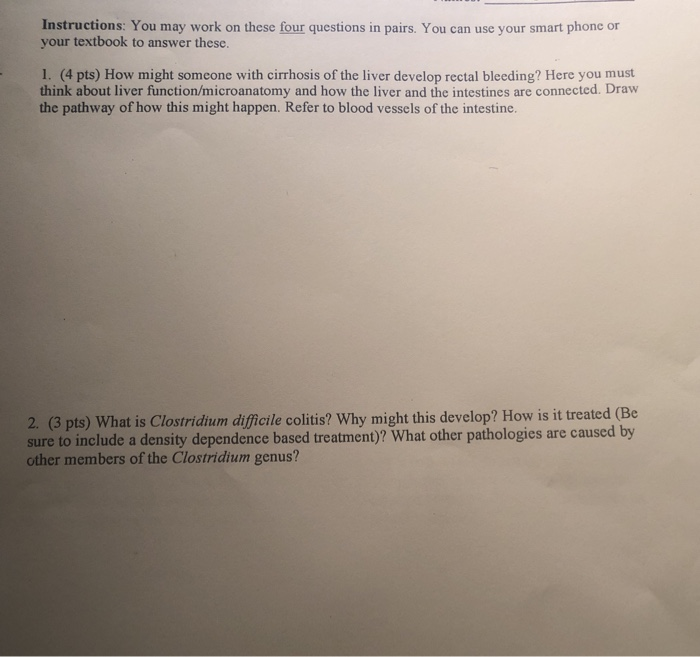 Solved Instructions: You may work on these four questions in | Chegg.com