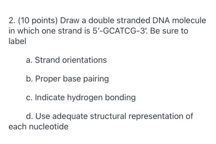 Solved 2 10 Points Draw A Double Stranded Dna Molecule Chegg Com