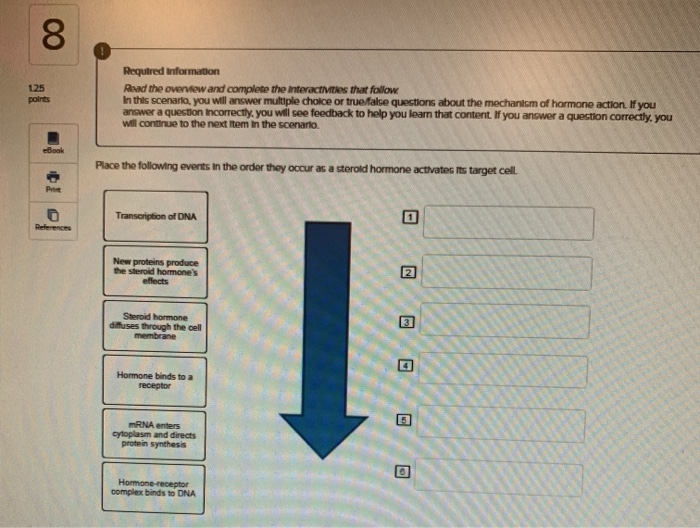 Solved 8 Required Information Read the overview and complete | Chegg.com