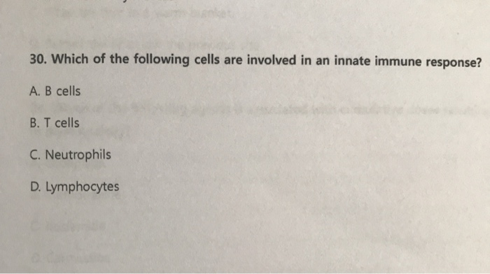 Solved 30. Which Of The Following Cells Are Involved In An 