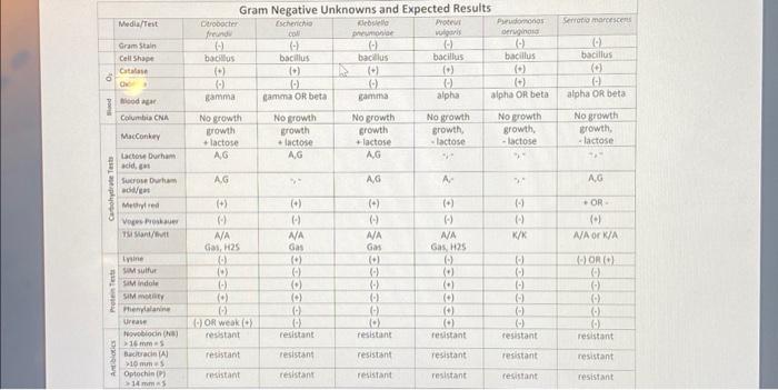 Solved i need to make dichotomous key and know what is my | Chegg.com