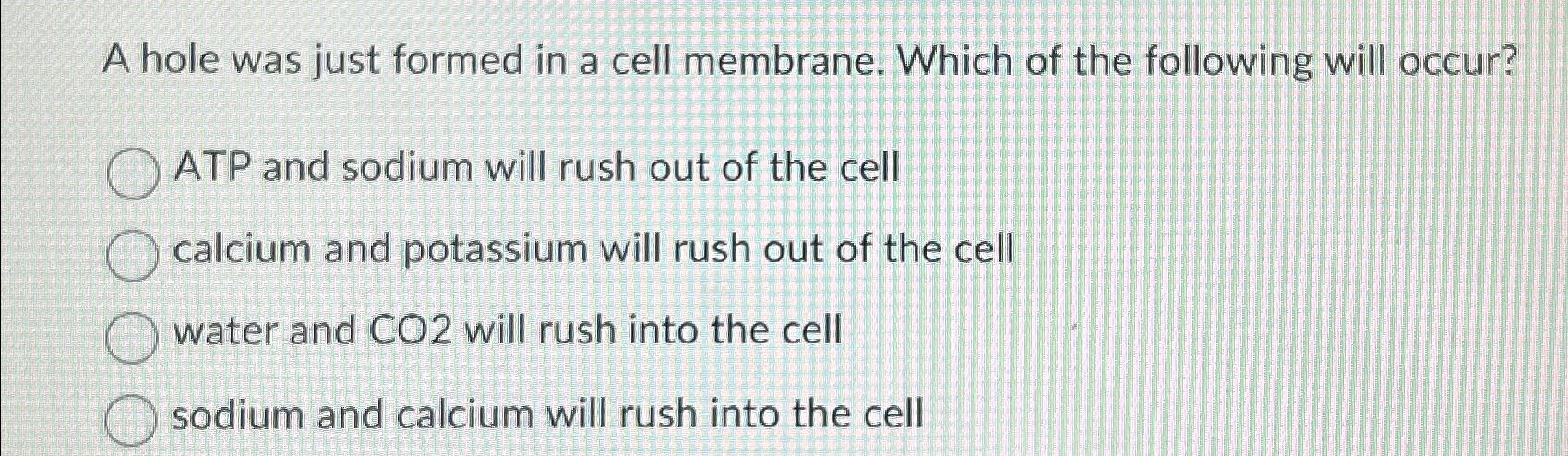 Solved A hole was just formed in a cell membrane. Which of | Chegg.com