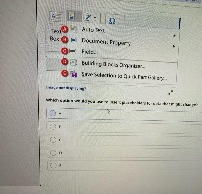 Solved Which option would you use to insert placeholders for