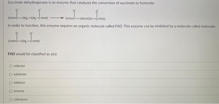Solved Succinate Dehydrogenase Is An Enzyme That Catalyzes | Chegg.com