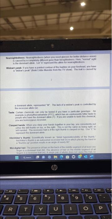 Solved I need this entire lab completed ive attached all | Chegg.com