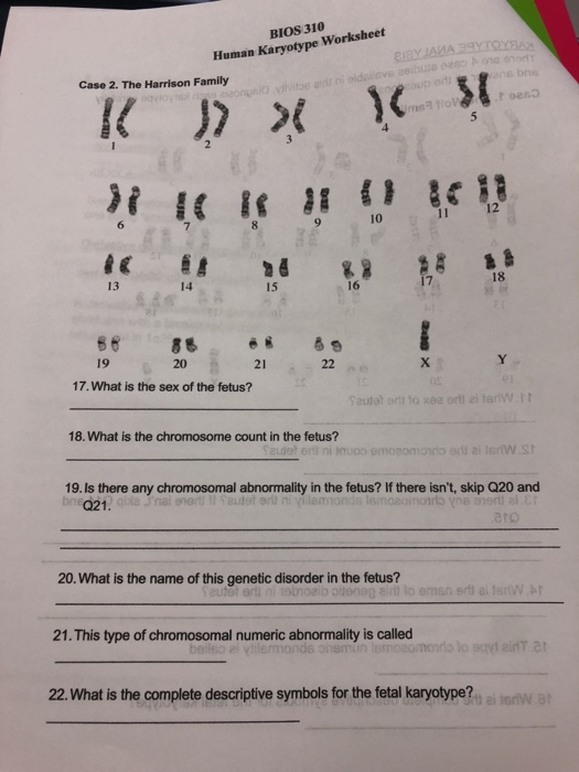 Solved BIOS 310 Human Karyotype Worksheet BISY JAMA 3 | Chegg.com