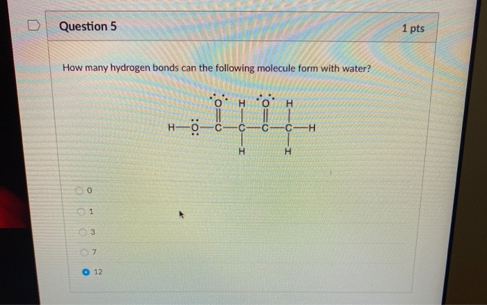 Solved Question 5 1 Pts How Many Hydrogen Bonds Can The