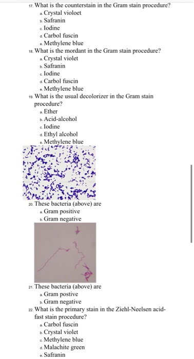 Solved 17. What Is The Counterstain In The Gram Stain | Chegg.com